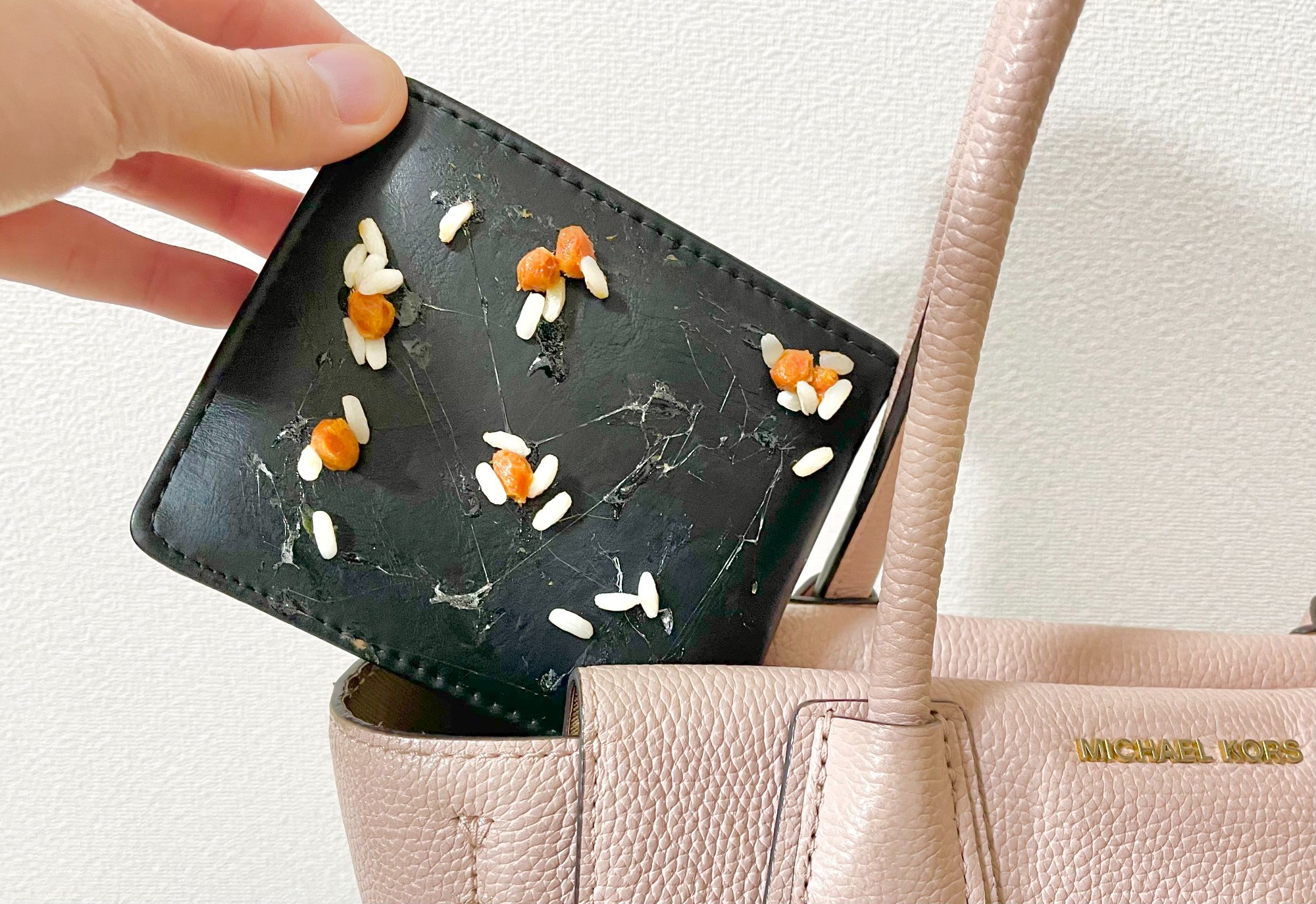 納豆つきパスケース